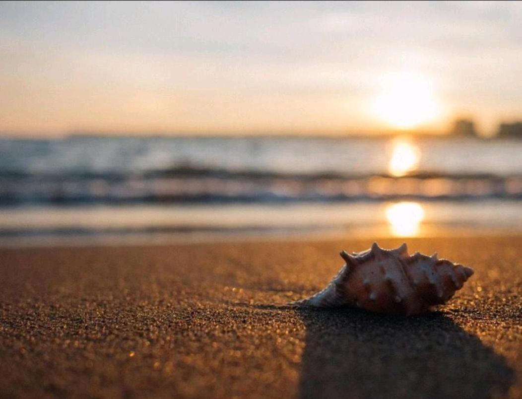 Huelin House Beach And Sun, Con Parking Y A 500 Metros De La Playa Lejlighed *